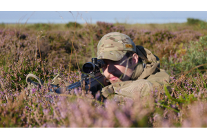 Hvilke hagl skal jeg vælge!